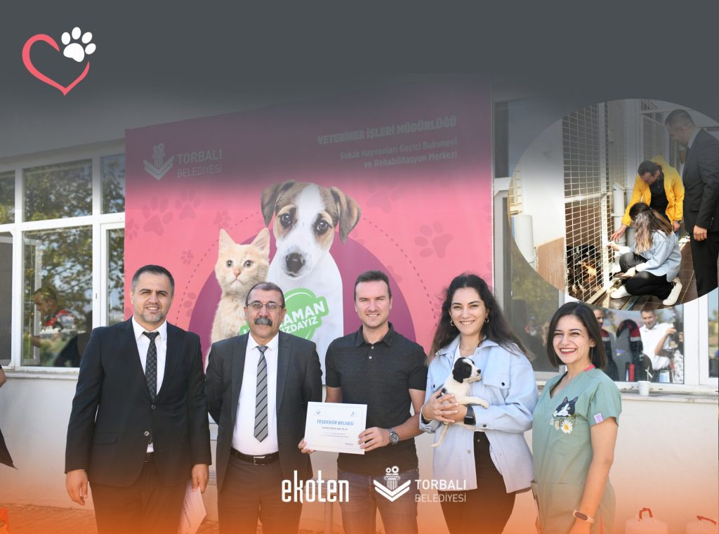 barınak post_linkedin